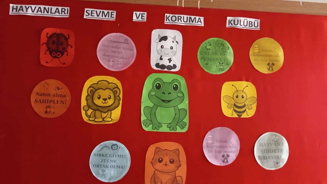HAYVANLARI KORUMA PANOMUZ